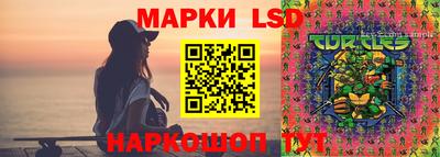 PSILOCYBIN Новодвинск