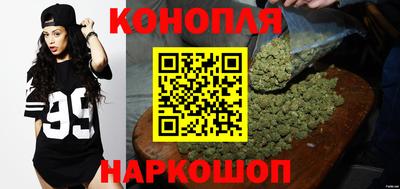 дмт Новозыбков