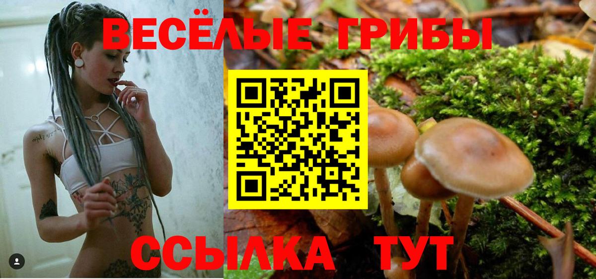 Старая Купавна  Псилоцибиновые грибы ЛСД  Вход с VPN 